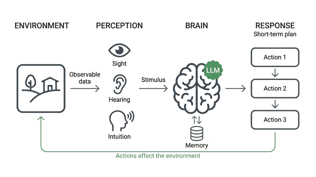 Diagram of the NPC behavior loop. The environment sends observable data to perception, made up of sight, hearing, and intuition, which sends a stimulus to an LLM-backed brain paired with memory. The brain produces a short-term plan of actions, and those actions affect the environment, starting the cycle again.